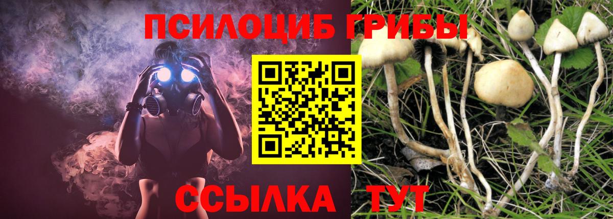 Псилоцибиновые грибы Magic Shrooms Мирный