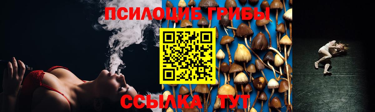 Мирный  Псилоцибиновые грибы Psilocybine cubensis  сколько стоит  Вход с VPN 